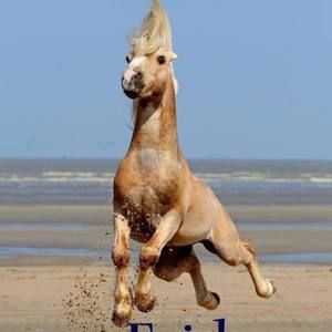 Meet your Posher, Alissa